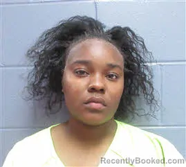 Mugshot of MISHALLE DELVA-JEAN HUDNELL booked in Lee County, Georgia on May 14, 2026