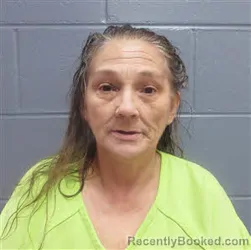 Mugshot of WENDY GAIL SHRUM booked in Lee County, Georgia on May 15, 2026