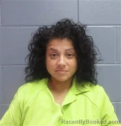 Mugshot of BETTY LUCRECIA SILVAS booked in Lee County, Georgia on May 16, 2026