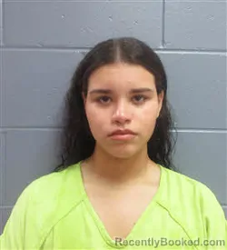 Mugshot of ODILE NICOLE ROSARIO CASTILLO booked in Lee County, Georgia on May 17, 2026