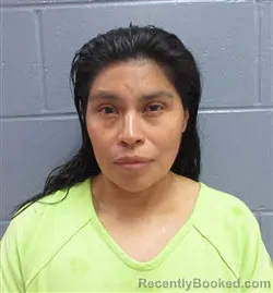 Mugshot of SANTOS NOELIA VICENTE TZUN booked in Lee County, Georgia on May 21, 2026