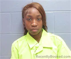 Mugshot of DE'ARIONTAE A'RKIYA PERRY booked in Lee County, Georgia on June 17, 2026