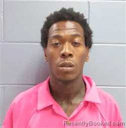 Mugshot of KAMINSKI DONNELSHAY HILL booked in Lee County, Georgia on June 22, 2026