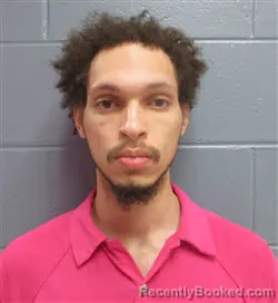 Mugshot of PETER DARRELL WATSON booked in Lee County, Georgia on July 2, 2026