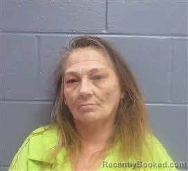 Mugshot of WENDY GAIL SHRUM booked in Lee County, Georgia on July 7, 2026