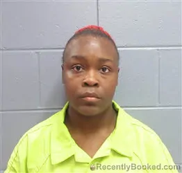 Mugshot of ASHANTI BREANNA MAIREL booked in Lee County, Georgia on July 14, 2026