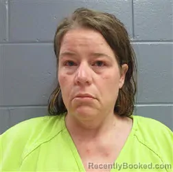 Mugshot of SANDRA MARIE HALL booked in Lee County, Georgia on August 2, 2026