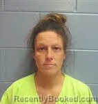 Mugshot of Heidi Janette Summerlin booked in Lee County, Georgia on August 8, 2026