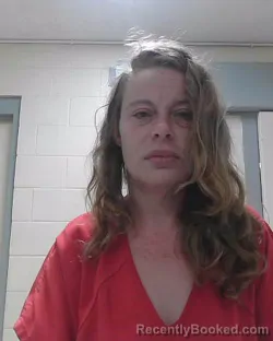 Mugshot of AMBER NICOLE LAMAR booked in Dixie County, Florida on July 3, 2026