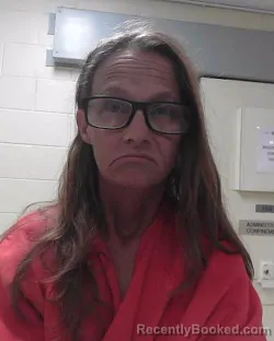 Mugshot of CATHY SUE WILKERSON booked in Dixie County, Florida on July 10, 2026