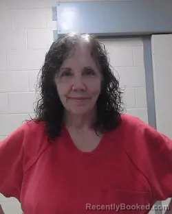 Mugshot of BRENDA JEAN CAMBRON booked in Dixie County, Florida on July 10, 2026