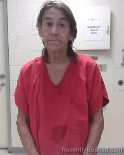 Mugshot of WANDA JEAN ROBBINS booked in Dixie County, Florida on July 19, 2026