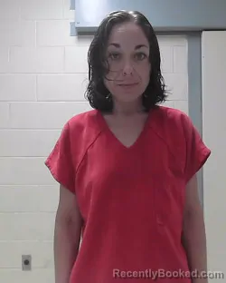 Mugshot of Bridgette Ashley Williams booked in Dixie County, Florida on September 15, 2026