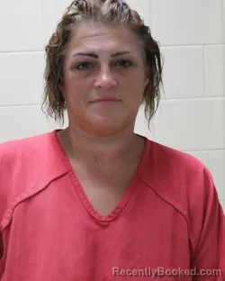 Mugshot of Jessica Marie Bruce booked in Dixie County, Florida on October 25, 2026
