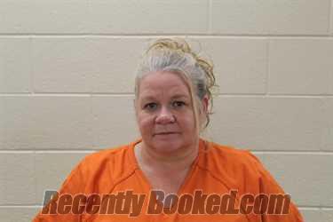 Booking photo from Pickens County, Georgia