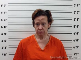 Mugshot of Alison Mcrae Ferguson booked in Pickens County, Georgia on August 26, 2026