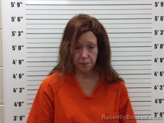 Mugshot of Alison McRae Ferguson booked in Pickens County, Georgia on August 4, 2026