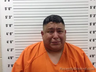 Mugshot of Arturo Andres Herrera-Campoverde booked in Pickens County, Georgia on June 22, 2026