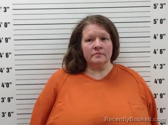 Mugshot of AMANDA LEIGHANNE HARKINS