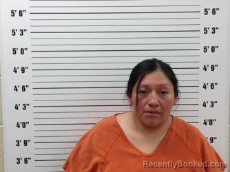 Mugshot of Ana Lopez booked in Pickens County, Georgia on May 28, 2026