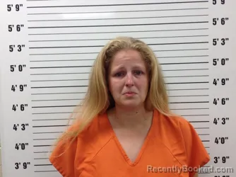 Mugshot of ASHLEY MELDRUM booked in Pickens County, Georgia on May 31, 2026