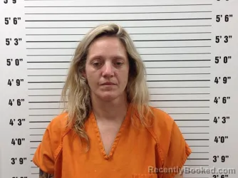 Mugshot of Alicia Ann Phillips booked in Pickens County, Georgia on August 13, 2026