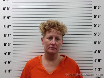 Mugshot of Brandi Lane Dulin