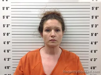 Mugshot of BETHANY ELAINE FRYER booked in Pickens County, Georgia on April 23, 2026