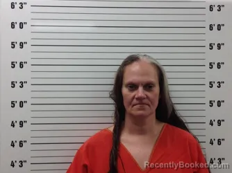 Mugshot of Brandy Jeannette Lawson