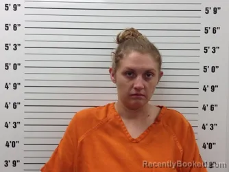 Mugshot of Brooke Alison Wilson booked in Pickens County, Georgia on August 23, 2026