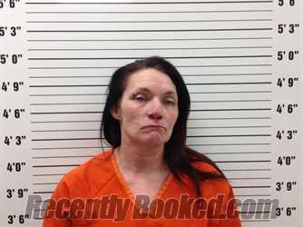 Booking photo from Pickens County, Georgia