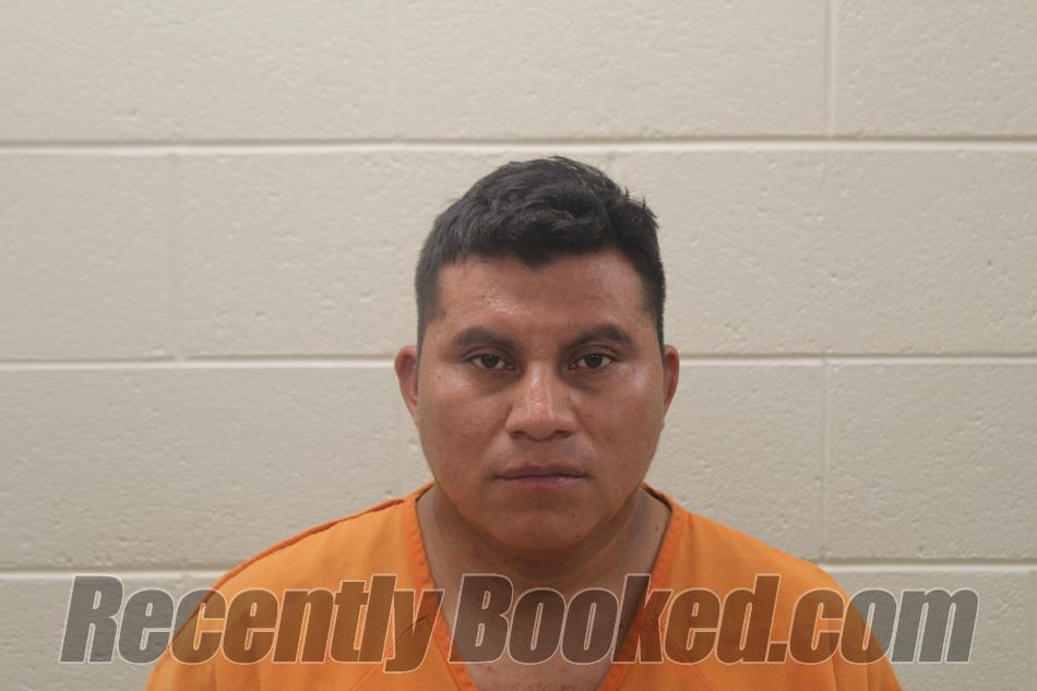 Booking photo from Pickens County, Georgia