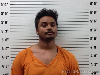 Booking photo from Pickens County, Georgia