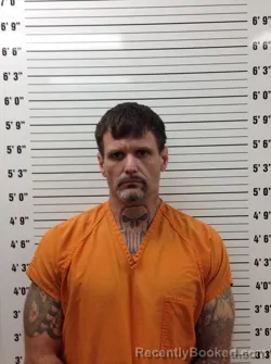 Mugshot of DARYL GENE ANKNEY booked in Pickens County, Georgia on April 17, 2026