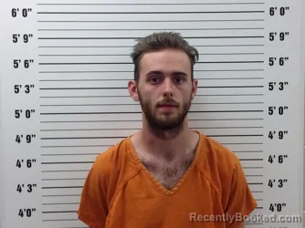 Mugshot of Daniel Nickless Malik