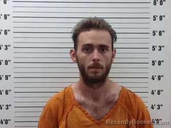 Mugshot of Daniel Nickless Malik