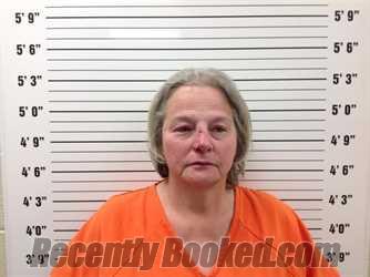 Booking photo from Pickens County, Georgia