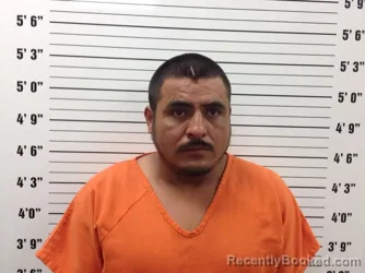 Mugshot of DENIS RODRIQUEZ-ROMERO booked in Pickens County, Georgia on July 21, 2026