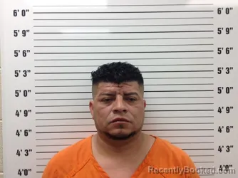 Mugshot of Denis Ricardo Santos booked in Pickens County, Georgia on August 17, 2026