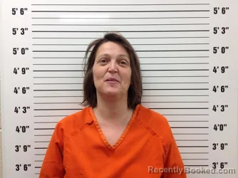 Mugshot of Donna Lynn Satterfield
