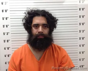 Mugshot of Danny Rolando Vega booked in Pickens County, Georgia on July 13, 2026