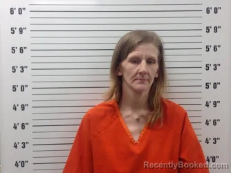 Mugshot of ELEANOR ANN REININGER booked in Pickens County, Georgia on July 16, 2026