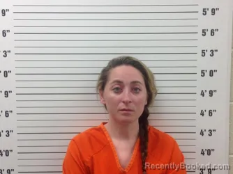 Mugshot of Hellen Brooke Combs booked in Pickens County, Georgia on August 7, 2026