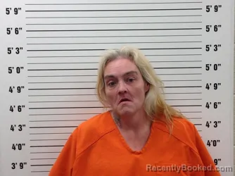 Mugshot of HOPE RENAY MEWBORN booked in Pickens County, Georgia on July 6, 2026
