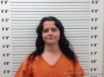 Mugshot of Hannah Marie Pettigrew booked in Pickens County, Georgia on October 6, 2026