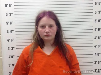 Mugshot of Haley Ann Terpin booked in Pickens County, Georgia on August 3, 2026
