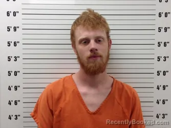 Mugshot of Julius Rayburn Disharoon booked in Pickens County, Georgia on July 21, 2026