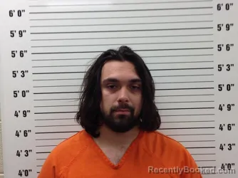 Booking photo from Pickens County, Georgia