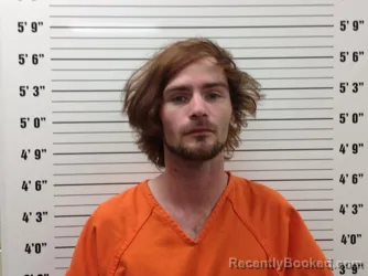Mugshot of Jacob Patrick Downey booked in Pickens County, Georgia on October 2, 2026