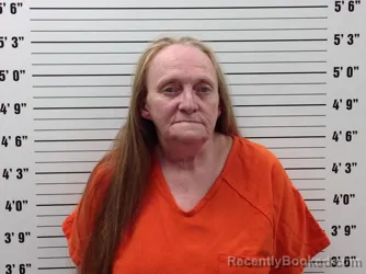 Mugshot of Janie Mechelle Holmes booked in Pickens County, Georgia on October 23, 2026